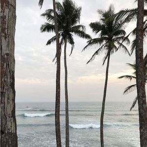 Meet your Posher, Rayka